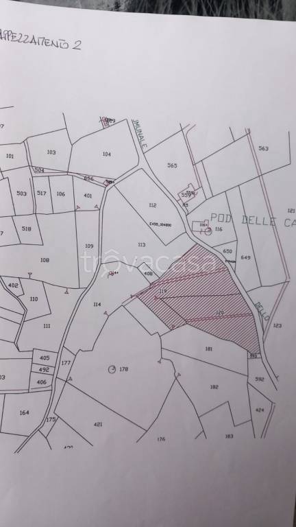 immagine annuncio 2 di 4