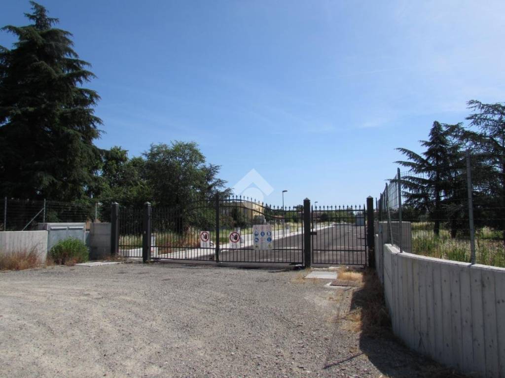 immagine annuncio 2 di 9
