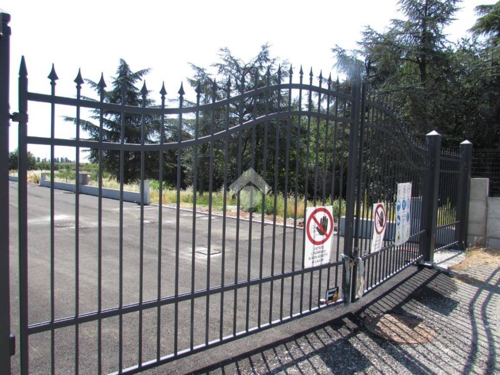 immagine annuncio 5 di 9