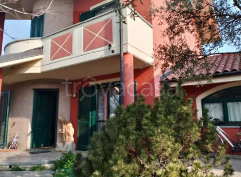 immagine annuncio 3 di 11