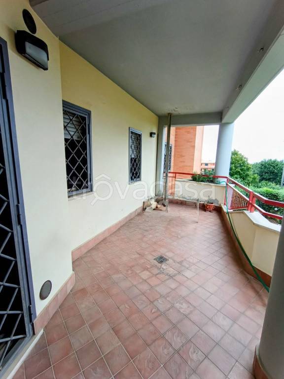 immagine annuncio 5 di 8