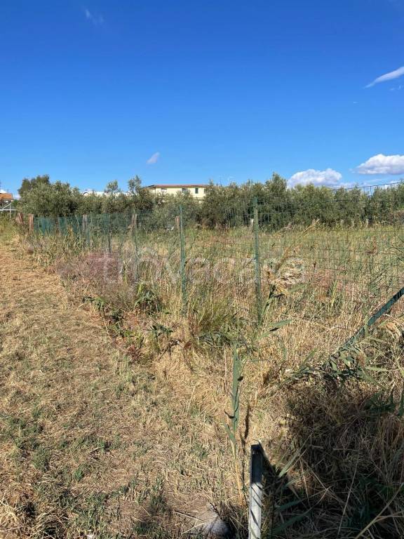 immagine annuncio 1 di 7