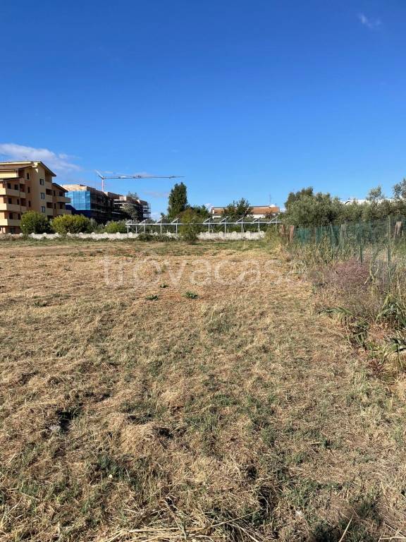 immagine annuncio 3 di 7