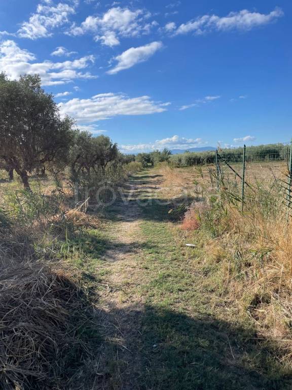 immagine annuncio 6 di 7