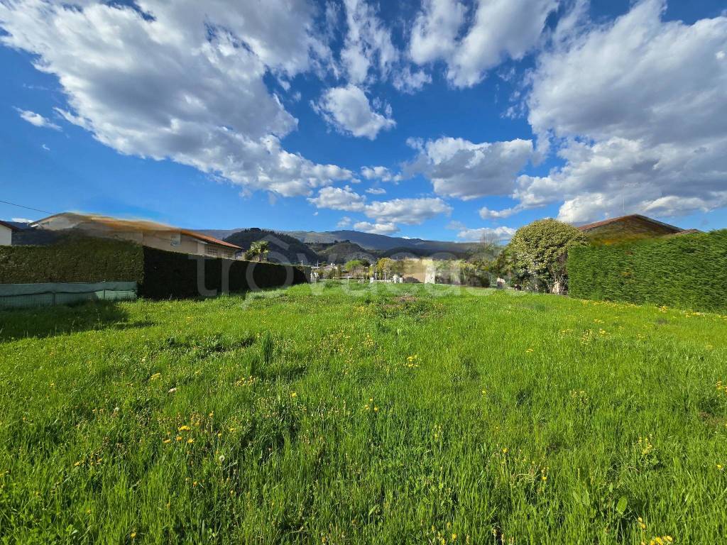 immagine annuncio 1 di 8