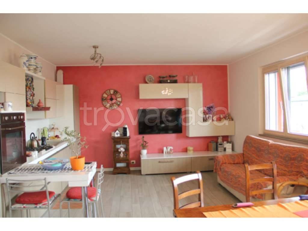 immagine annuncio 2 di 14