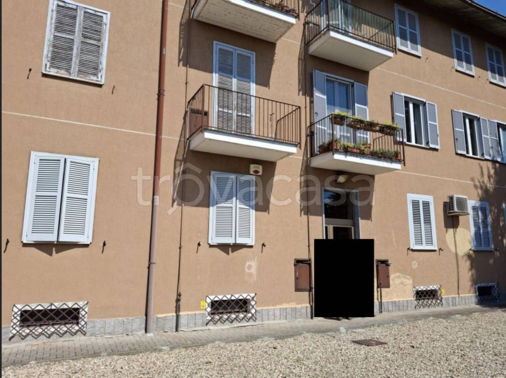 immagine annuncio 1 di 14