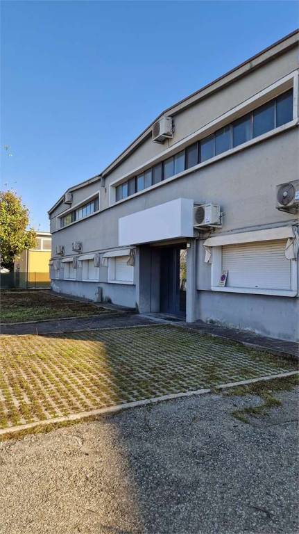 immagine annuncio 5 di 13