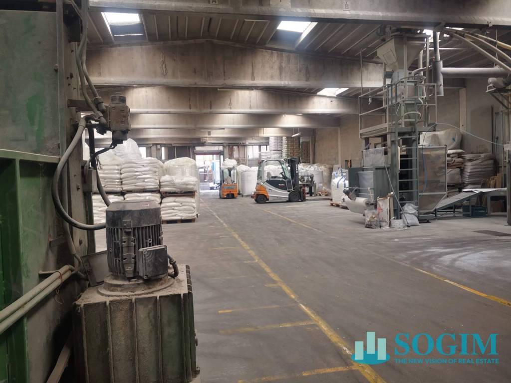 immagine annuncio 4 di 12