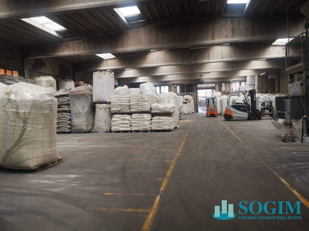 immagine annuncio 5 di 12