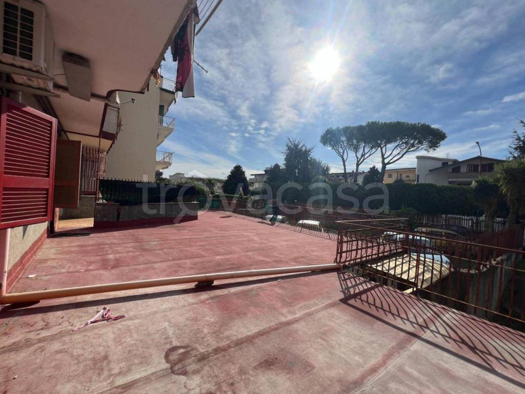 immagine annuncio 8 di 12