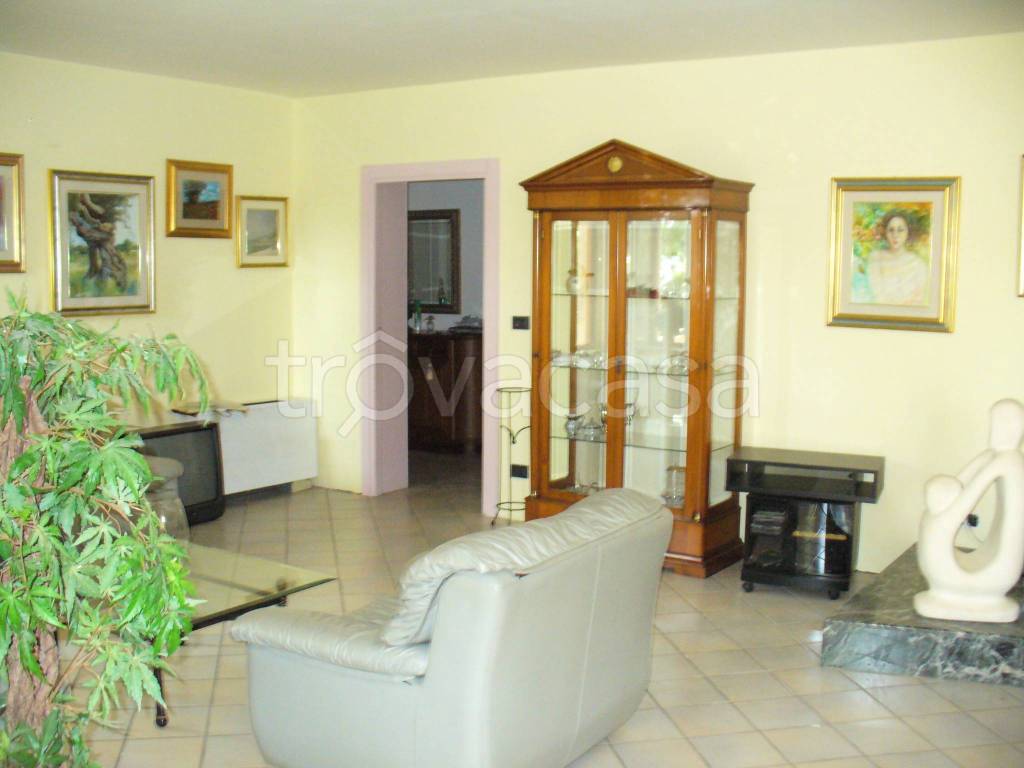 immagine annuncio 2 di 11