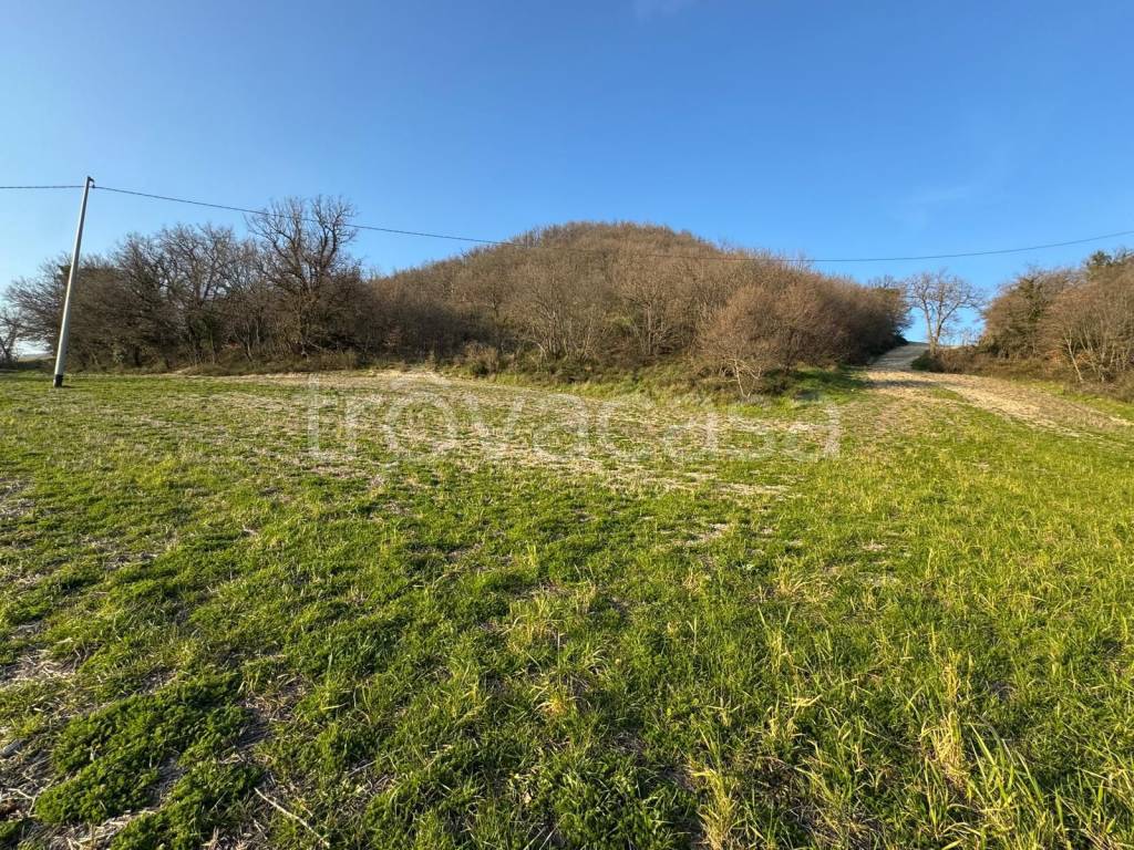 immagine annuncio 6 di 14