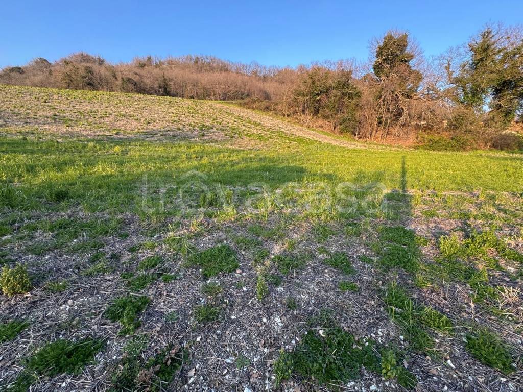 immagine annuncio 11 di 14