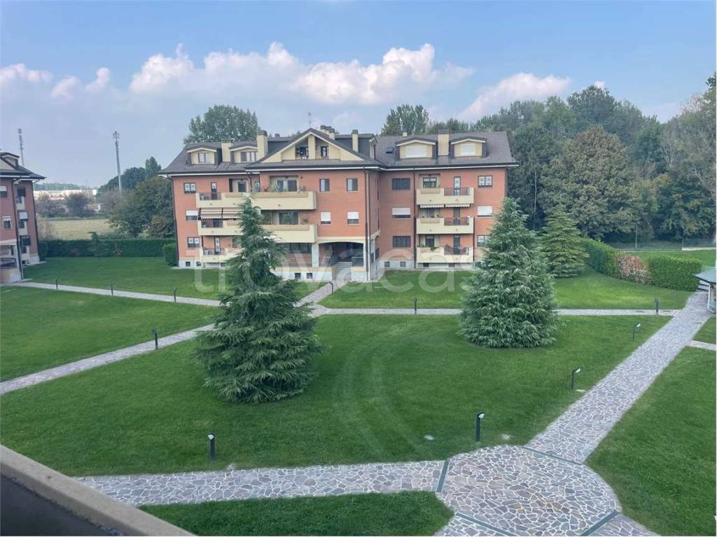 immagine annuncio 8 di 11