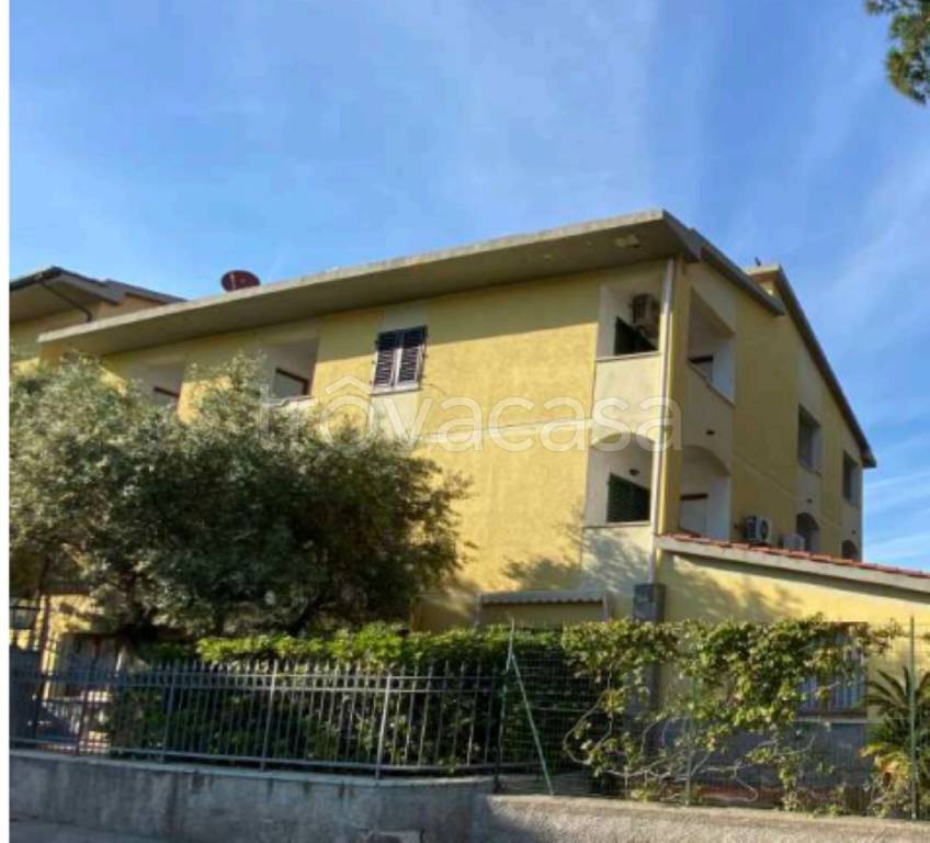 immagine annuncio 4 di 14