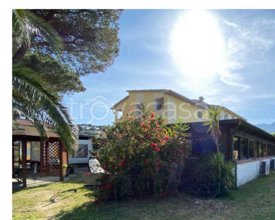 immagine annuncio 10 di 14