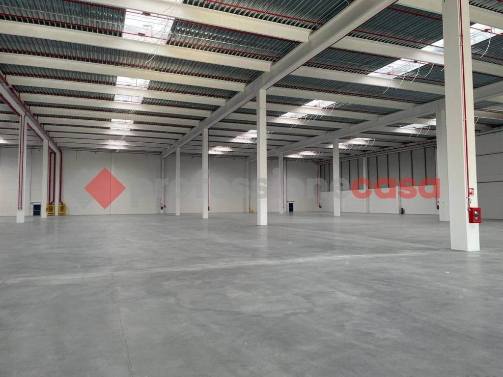 immagine annuncio 1 di 8