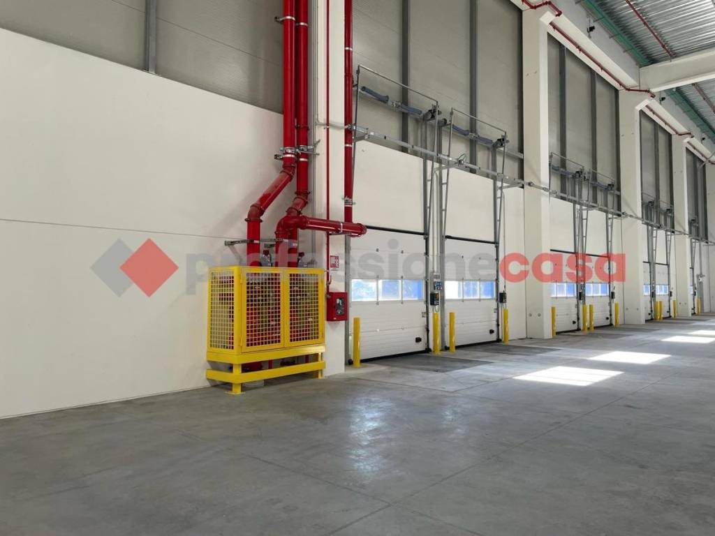 immagine annuncio 2 di 8