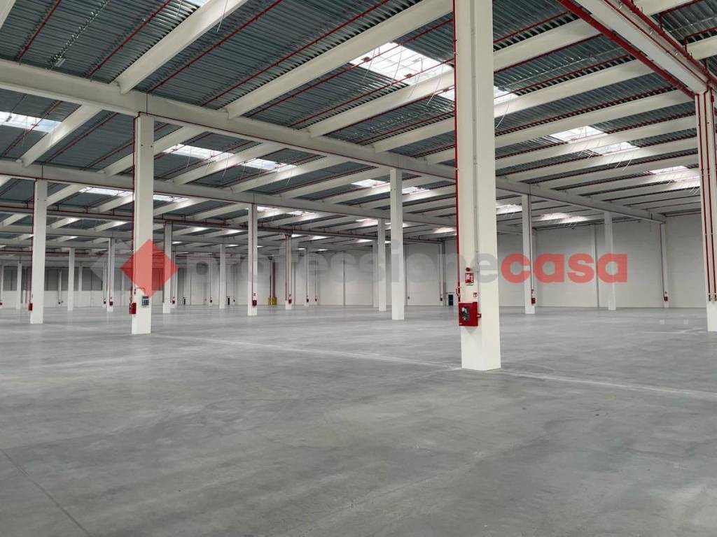 immagine annuncio 6 di 8