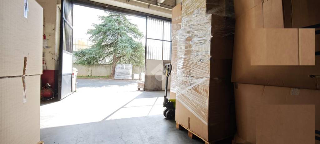 immagine annuncio 6 di 15