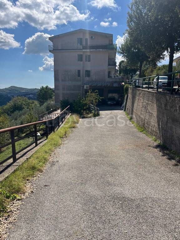 immagine annuncio 10 di 13