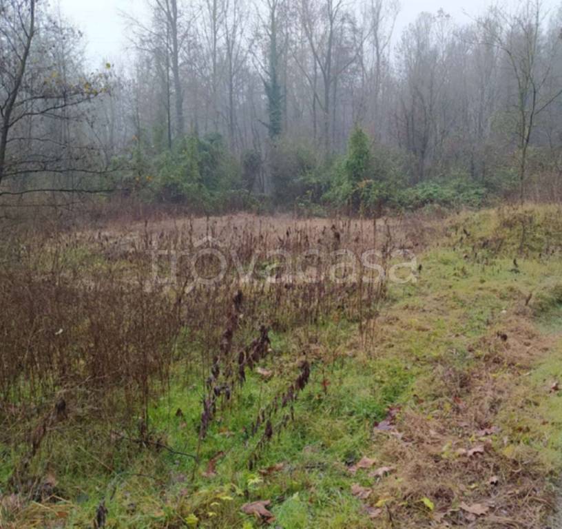 immagine annuncio 8 di 12