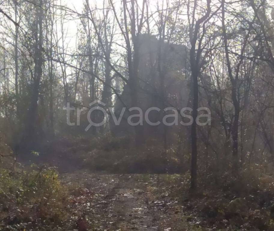 immagine annuncio 9 di 12