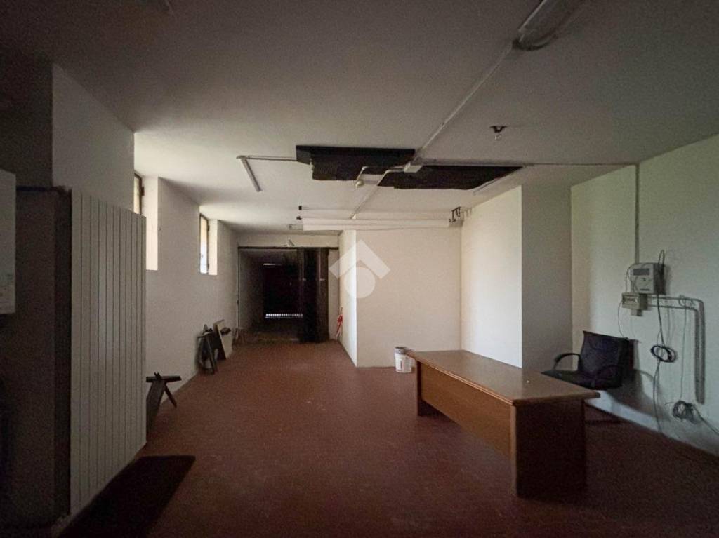 immagine annuncio 7 di 13