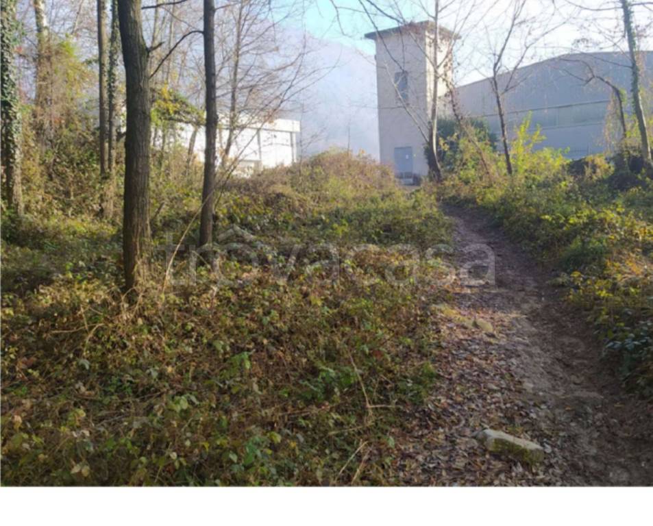 immagine annuncio 11 di 12