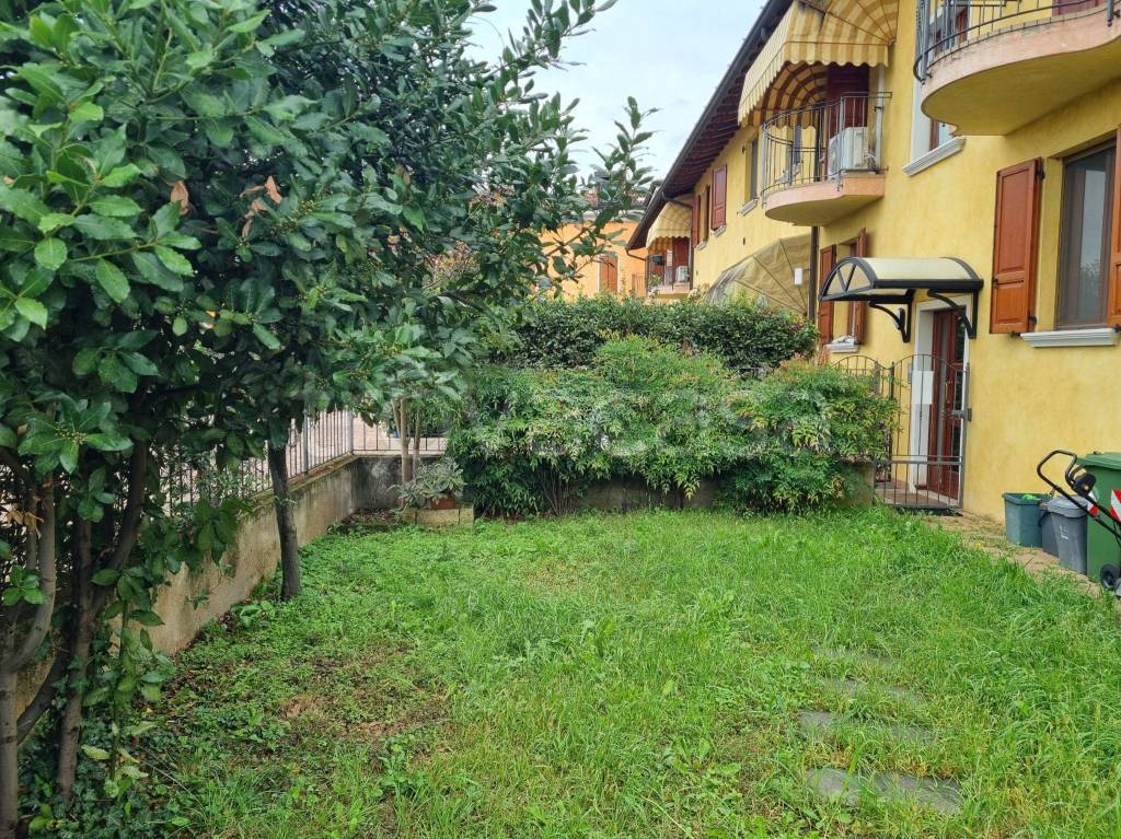 immagine annuncio 5 di 15