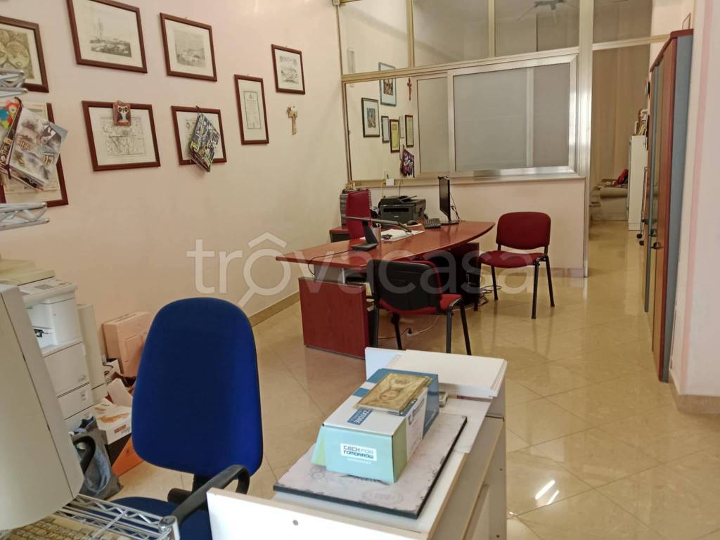 immagine annuncio 2 di 12