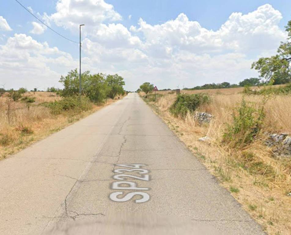 immagine annuncio 3 di 11