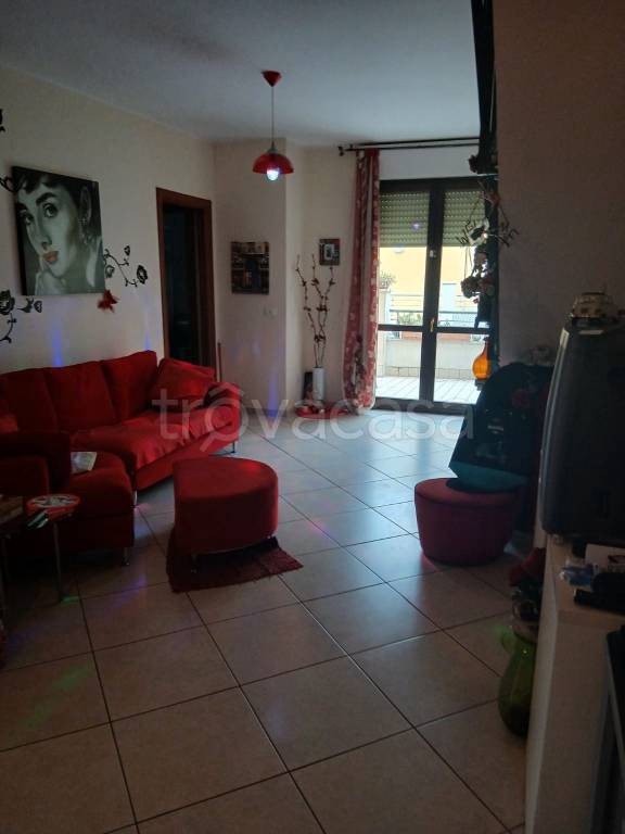 immagine annuncio 1 di 12