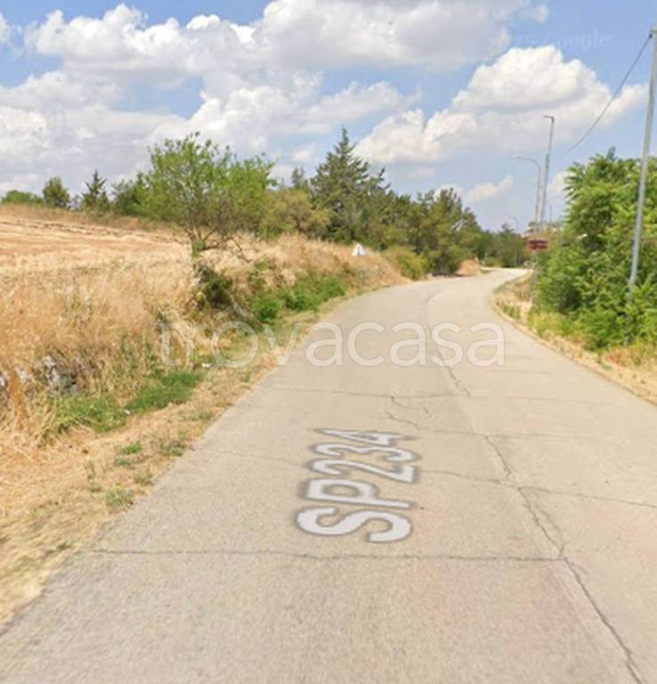 immagine annuncio 4 di 11