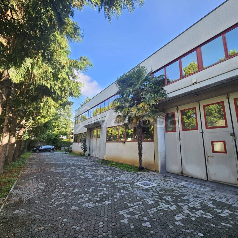 immagine annuncio 5 di 15