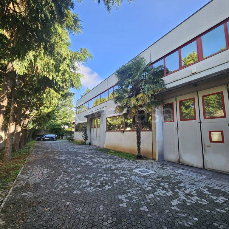 immagine annuncio 7 di 15