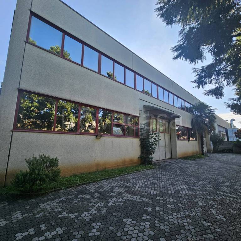 immagine annuncio 9 di 15