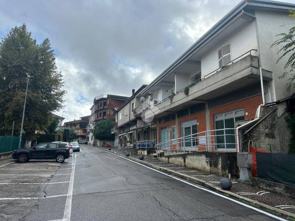 immagine annuncio 2 di 13