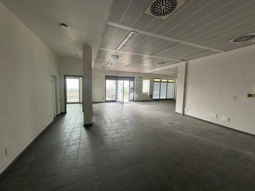 immagine annuncio 9 di 13