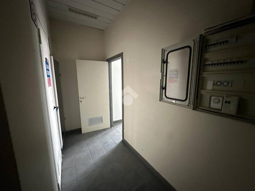 immagine annuncio 11 di 13