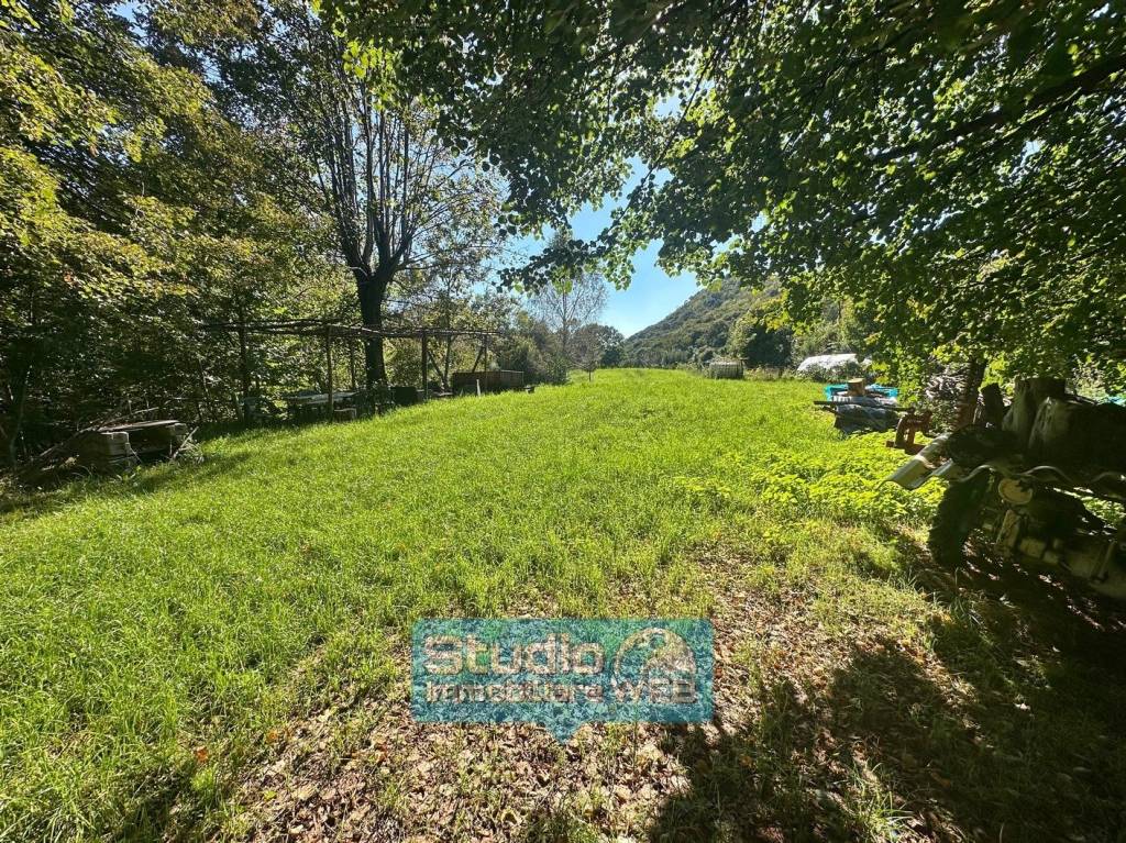 immagine annuncio 6 di 9