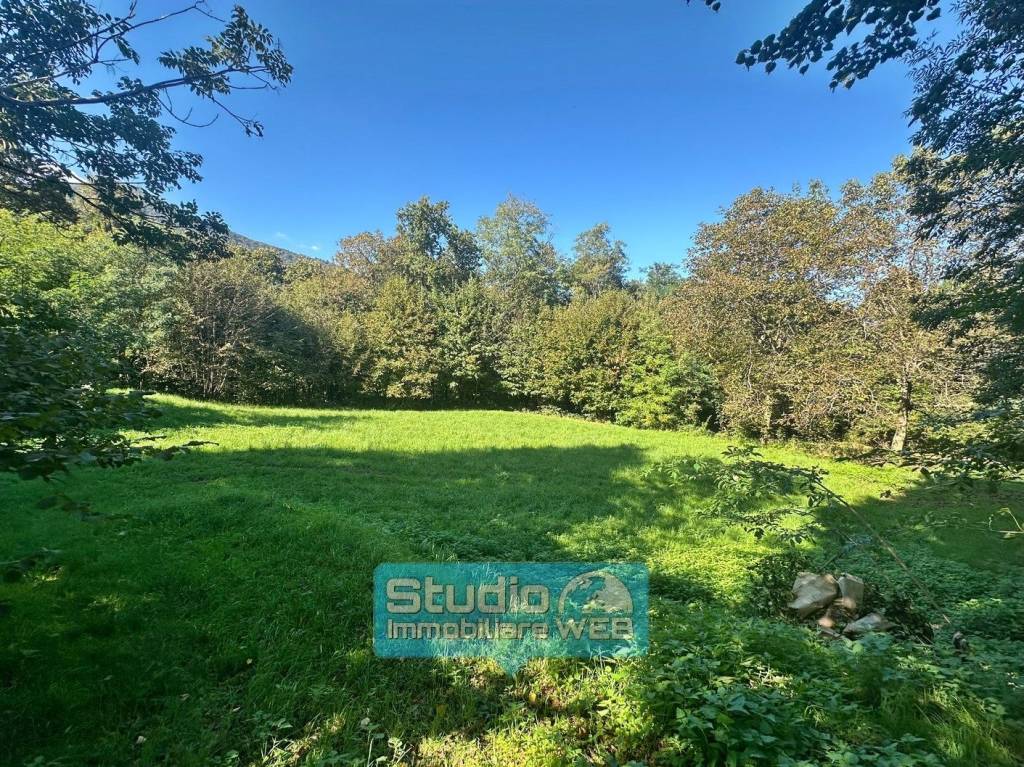 immagine annuncio 7 di 9