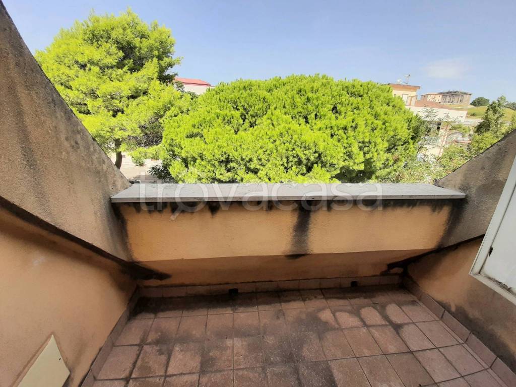 immagine annuncio 4 di 8