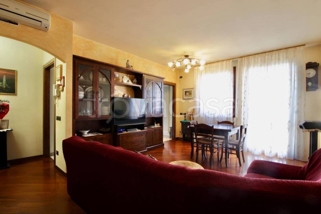 immagine annuncio 1 di 14