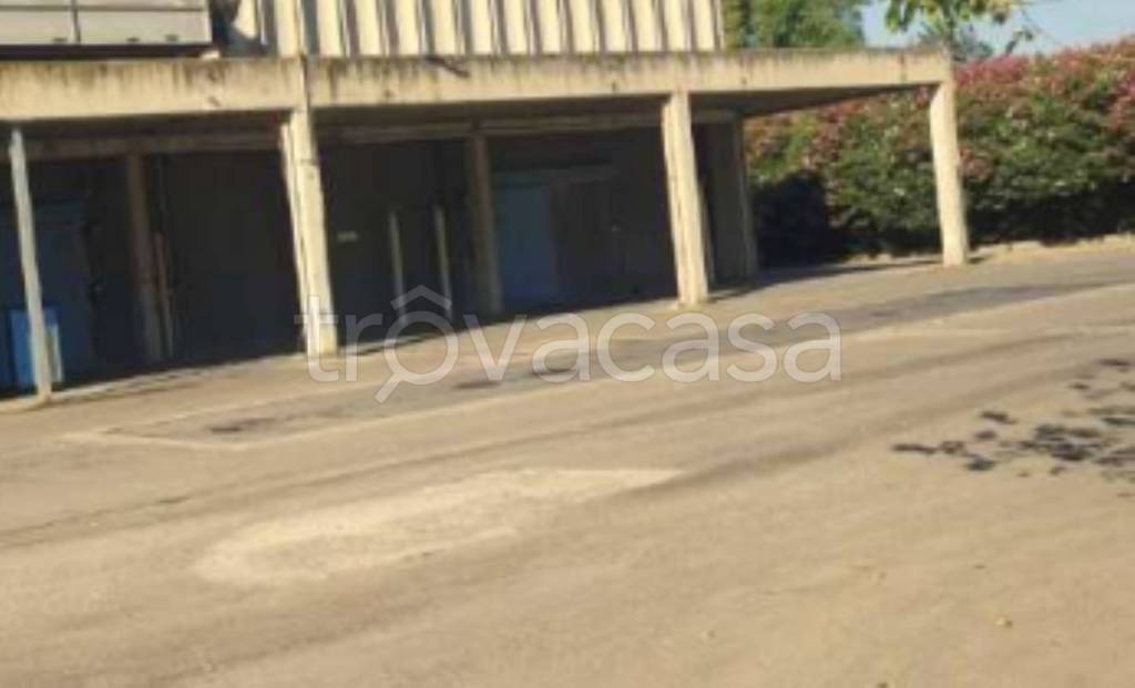 immagine annuncio 8 di 11