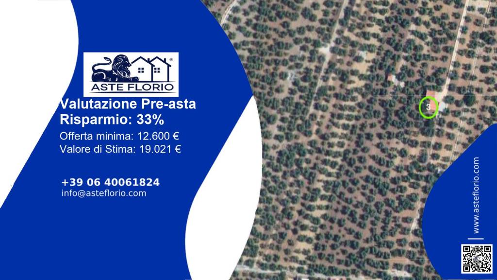 immagine annuncio 1 di 11