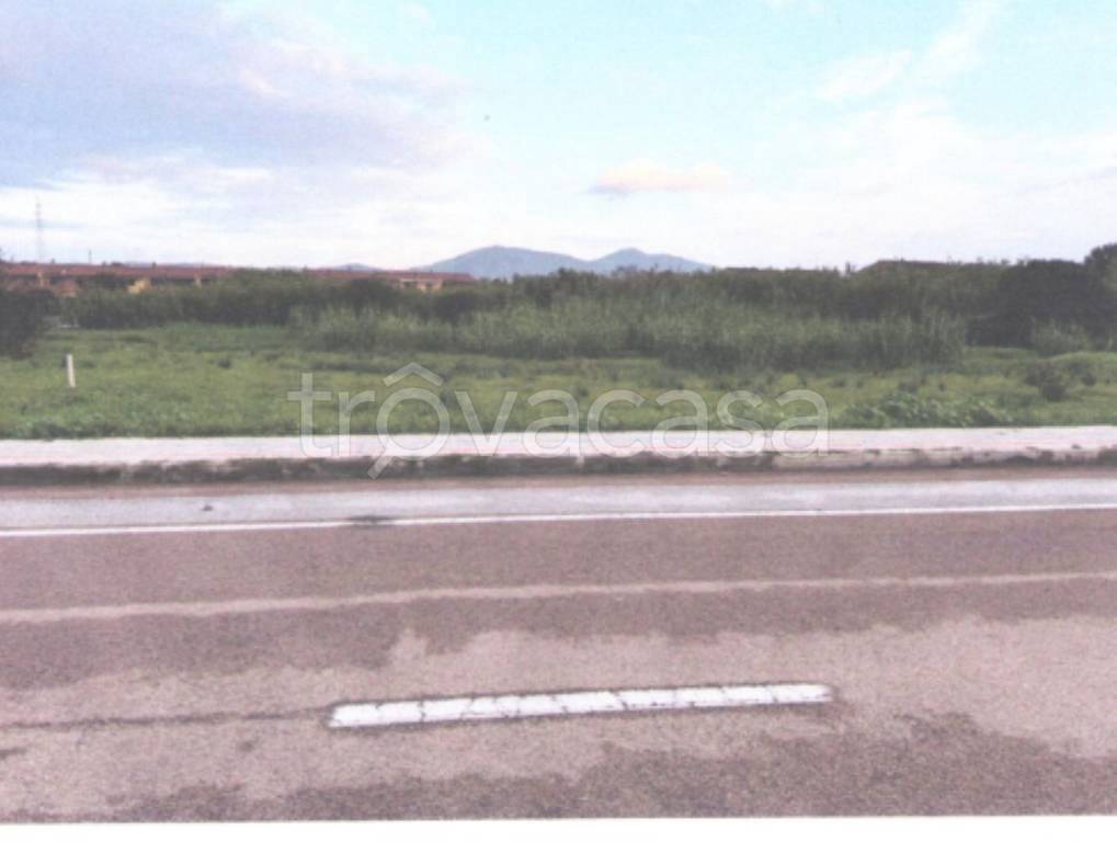 immagine annuncio 6 di 13