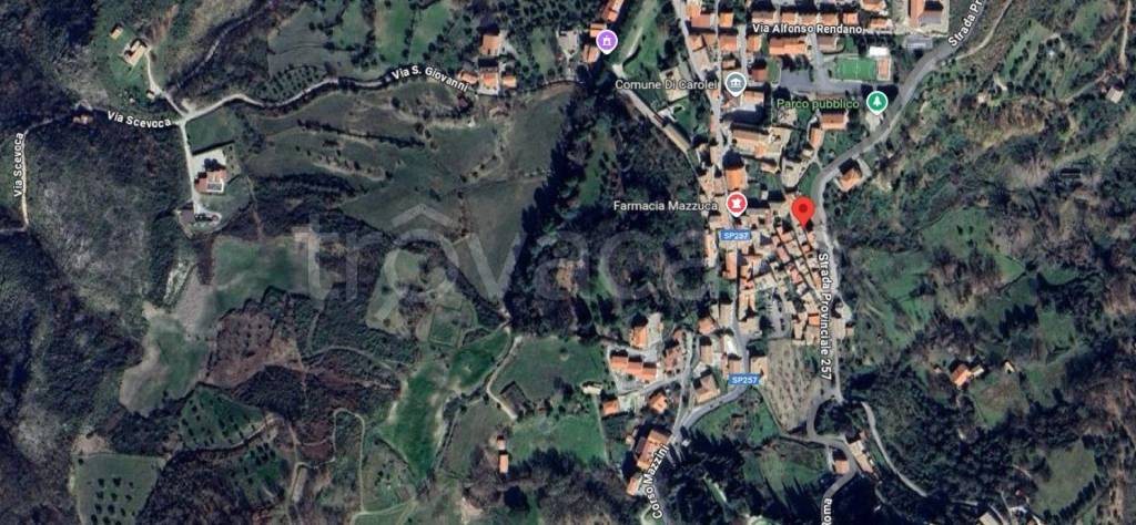 immagine annuncio 12 di 14