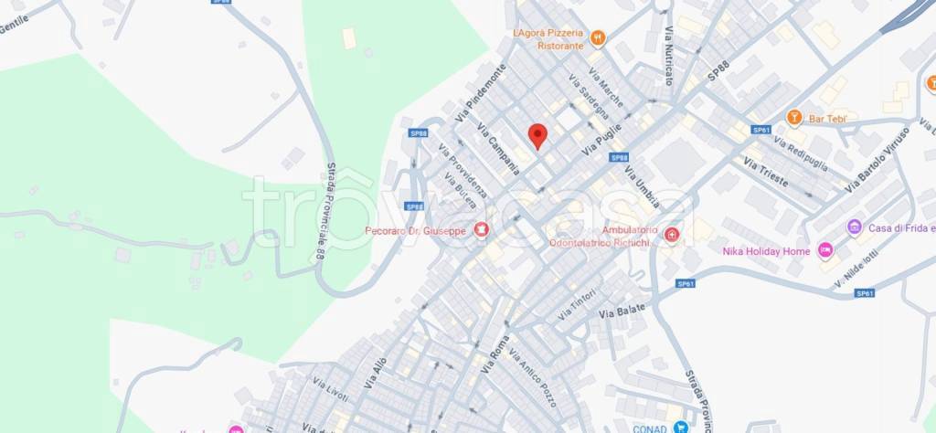 immagine annuncio 12 di 15